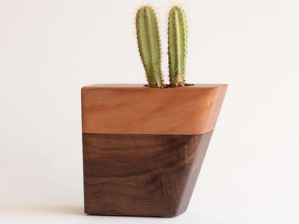 Small Planturn Cremation Urn in Walnut & Sycamore with cactus, modern wood design for loved ones.