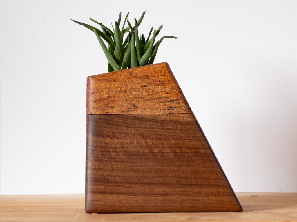 Wooden cremation urn in walnut and California sycamore with a living plant on top.