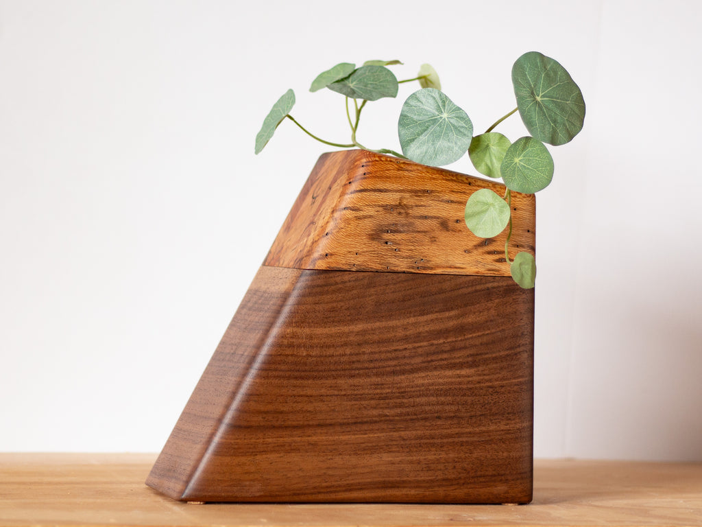 Wooden cremation urn in walnut and California sycamore with a living plant on top, large size for adult ashes.