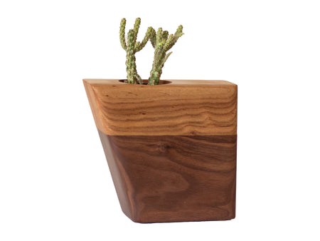 Small Planturn™ Cremation Urn in Walnut & Elm - Boyce Studio | Cremation Urn for ashes | Cremation Urns | Cremation Urn for Adult