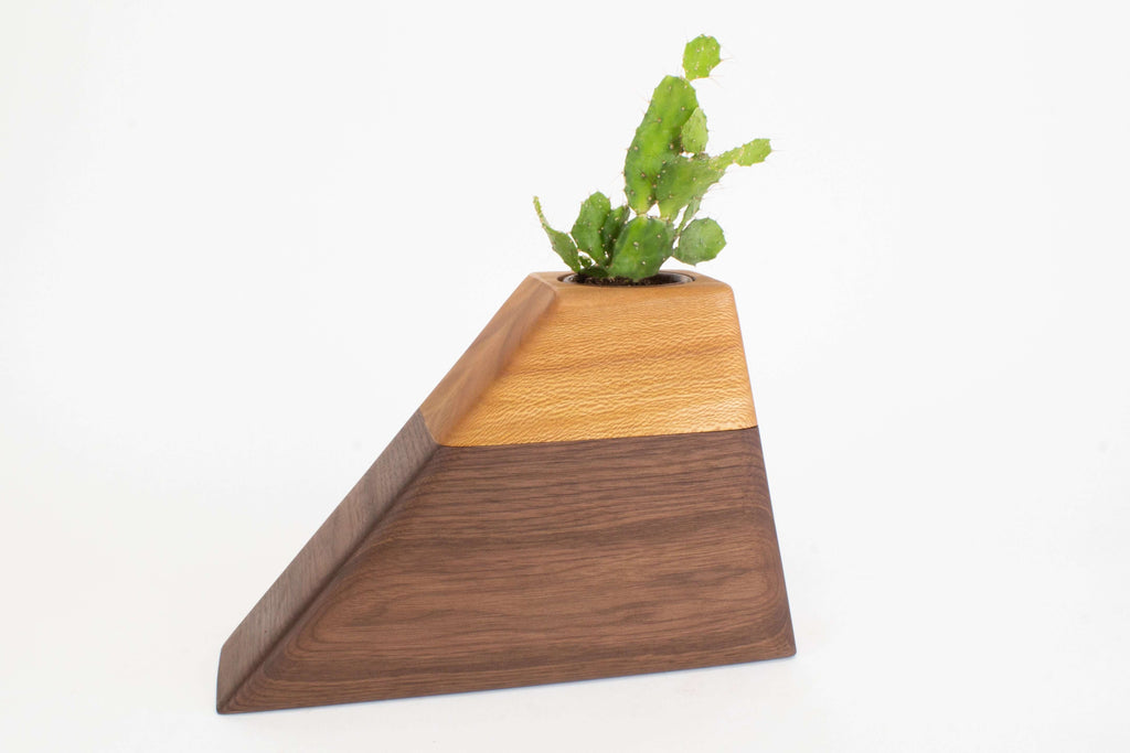 Medium Planturn™ in Walnut & Sycamore - Boyce Studio | Cremation Urn for ashes | Cremation Urns | Cremation Urn for Adult